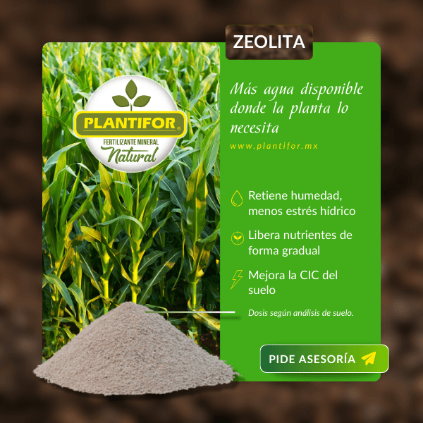 Plantifor, caso de éxito en la industria de Fertilizantes mineras