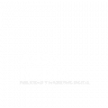 AdSo Media Publicidad y Marketing digital